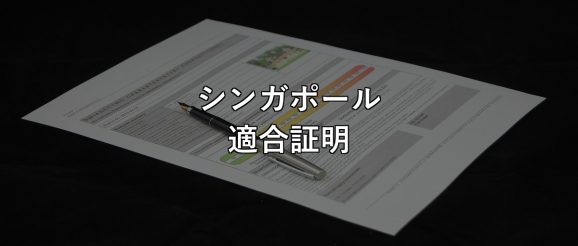 singapore-conformity-test-documents